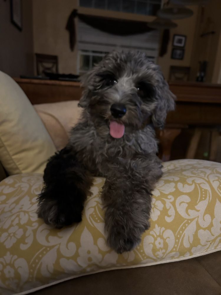 EarthWise Pet Gainesville Image