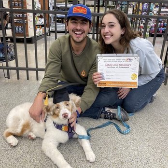 Karma Dog Training - Pet Training Near Me - Denver, Colorado
