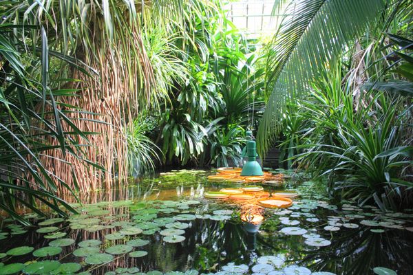 Palmiarnia Poznańska by null