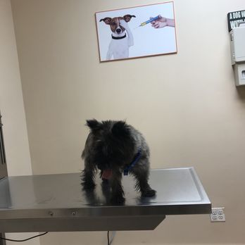 Animal Empire Veterinary Clinic - Veterinarians Near Me - Maspeth, New York