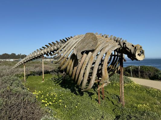 Seymour Marine Discovery Center by null