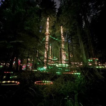 Capilano Suspension Bridge Park - Treetop bridge - Parks Near Me - North Vancouver, British Columbia