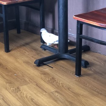 Eggs 'n Things - Waikiki Beach Eggspress - Pigeon - Breakfast & Brunch Near Me - Honolulu, Hawaii