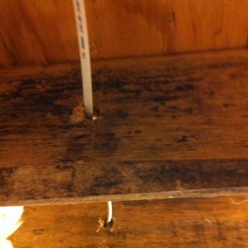 The Mold Pros - Mold in framing materials - Damage Restoration Near Me - Portland, Oregon The Mold Pros - Mold in framing materials - Damage Restoration Near Me - Portland, Oregon