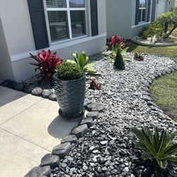SunnyDays Nursery & Landscaping