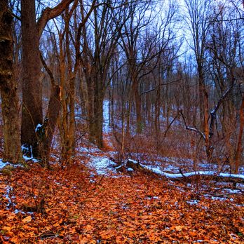 Welkinweir - Welkinweir Estate -- trail - Parks Near Me - Pottstown, Pennsylvania