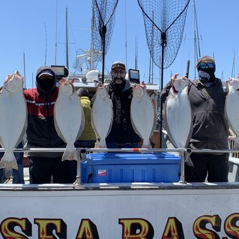 Sea Bass Sportfishing - A few of ours. - Boat Charters Near Me