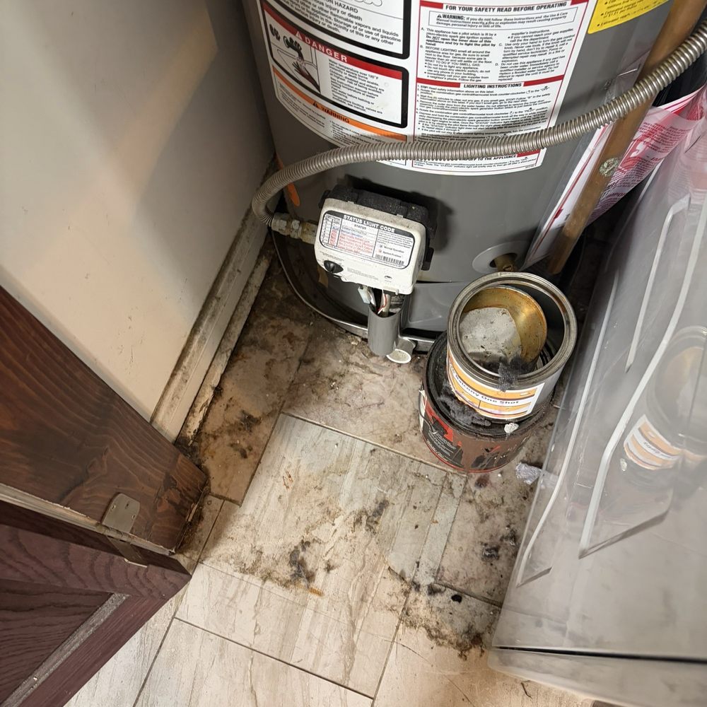 High Fidelity Property Management - Property Management Near Me - Chicago, Illinois High Fidelity Property Management - Property Management Near Me - Chicago, Illinois
