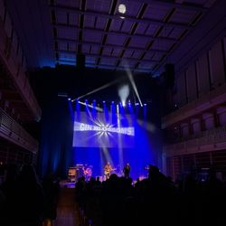Gin Blossoms show