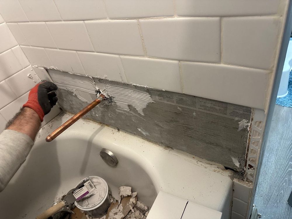 Slide of Patrick Handyman