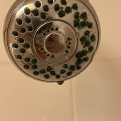 La Quinta by Wyndham Coral Springs University Dr - Shower head