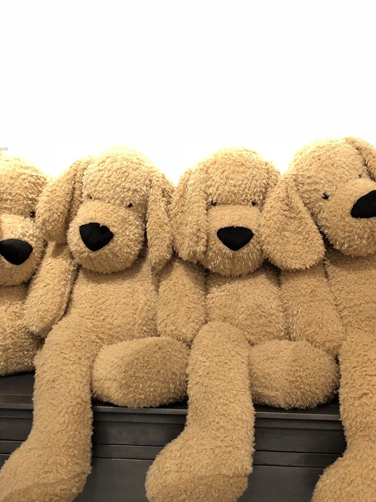 RH OUTLET OXNARD Updated October 2024 15 Photos & 36 Reviews 1931