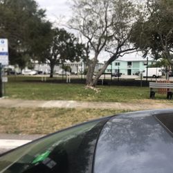 Treasure Island Community Center And Park