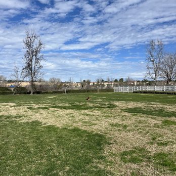 Off Leash K9 Training  - Practicing off leash sit at a distance in public places! - Pet Training Near Me - Murrieta, California