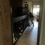 Photo of Ohana Moving