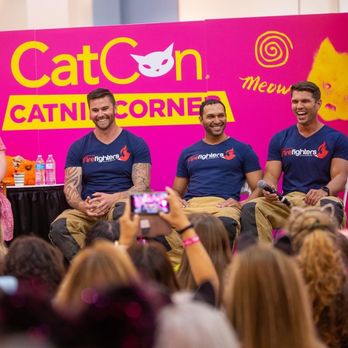 CatCon - Pet Adoption Near Me - Pasadena, California CatCon - Pet Adoption Near Me - Pasadena, California