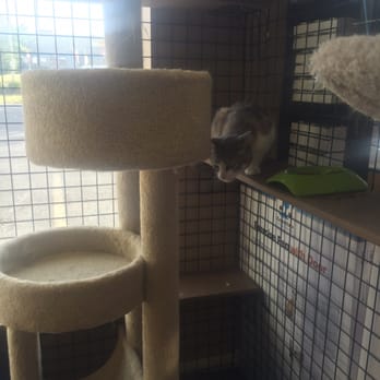 Pet Valu - Pet Stores Near Me - Mississauga, Ontario Pet Valu - Pet Stores Near Me - Mississauga, Ontario