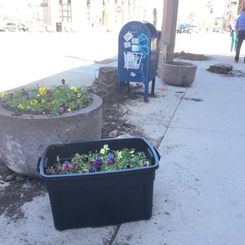 Village Paint & Hardware - Village Paint & Hardware supplied the soil, tote, cart so we could pick up these city flowers at North & Farwell. - Hardware Stores Near Me - Milwaukee, Wisconsin