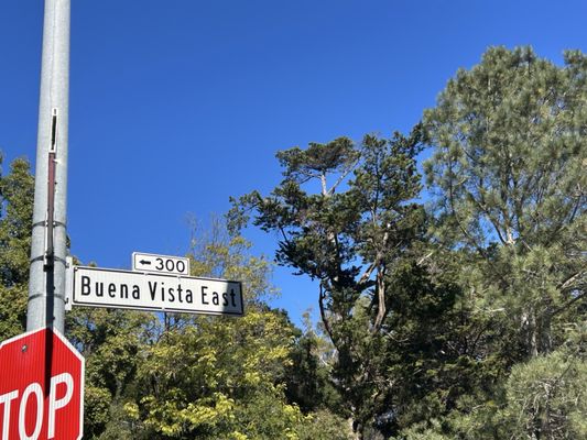 Buena Vista Park by null