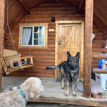 BV Overlook Camp & Lodging - Campgrounds Near Me - Buena Vista, Colorado BV Overlook Camp & Lodging - Campgrounds Near Me - Buena Vista, Colorado