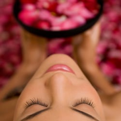 Seialoha - Toxic Free Beauty + Shop - Artistic Brows and Lash Boosts create flattering facial features.