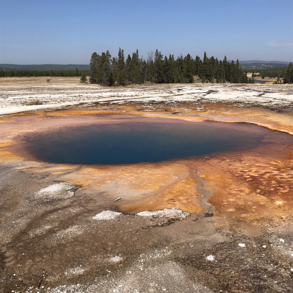 Yellowstone Day Tours - Tours Near Me