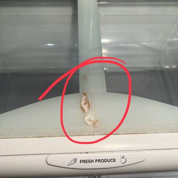 All-Cleaning Solution Services - Dried....something...on shelf of fridge. - Office Cleaning Near Me