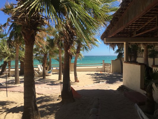 Baja Joe's by null