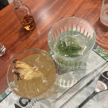 Casa Bacardi - Tours Near Me - Cataño, Puerto Rico