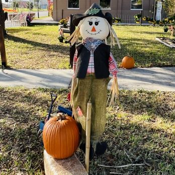 Road to Eden Nursery - Nurseries & Gardening Near Me - Frostproof, Florida Road to Eden Nursery - Nurseries & Gardening Near Me - Frostproof, Florida