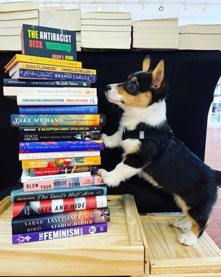 All She Wrote Books by null