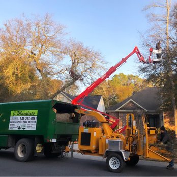 J Macaluso Landscaping & Tree Service - Tree Services Near Me J Macaluso Landscaping & Tree Service - Tree Services Near Me