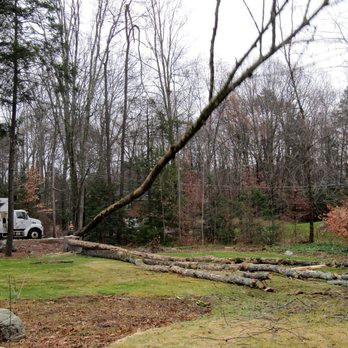 Sotil Tree Service - Tree Services Near Me - Suffield, Connecticut Sotil Tree Service - Tree Services Near Me - Suffield, Connecticut