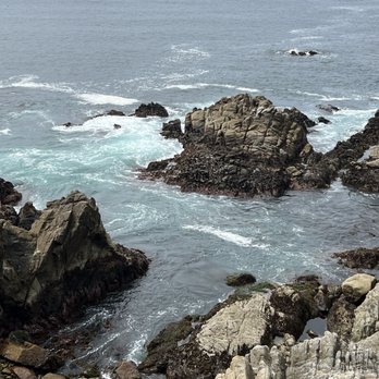 The Lone Cypress - Landmarks & Historical Buildings Near Me - Del Monte Forest, California