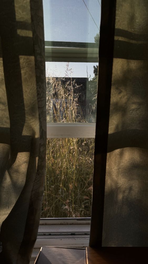 JARIPEO LANDSCAPE Updated August 2024 10 Reviews 646 40th St