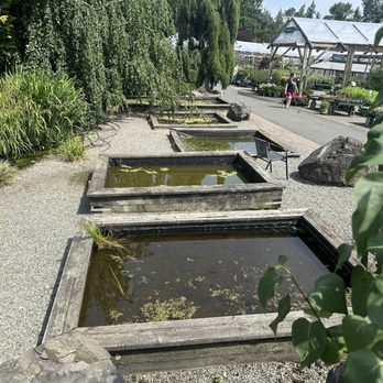 FLOWER WORLD - Updated June 2024 - 266 Photos & 192 Reviews - 9322