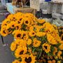 Photo of Castro Valley Farmers' Market
