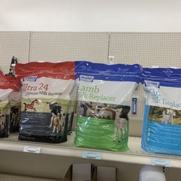 Dog treats Dog treats