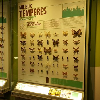 Insectarium de Montréal - Museums Near Me - Montreal, Quebec Insectarium de Montréal - Museums Near Me - Montreal, Quebec