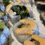 Tapa Sushi Japanese Cuisine