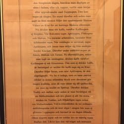 Doktorsvillan - Found in the bathroom. A text about drinking and the day after in an older and, truthfully, more fashionable sense. Read if you're Swedish!