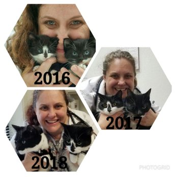 Tlc Veterinary Clinic - 3 years at TLC and 3 years with Tom and Jeri! - Veterinarians Near Me - Olympia, Washington Tlc Veterinary Clinic - 3 years at TLC and 3 years with Tom and Jeri! - Veterinarians Near Me - Olympia, Washington