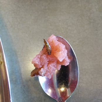 Sri Ananda Bhavan - Cockroach in sweet - Indian Near Me - Sunnyvale, California Sri Ananda Bhavan - Cockroach in sweet - Indian Near Me - Sunnyvale, California