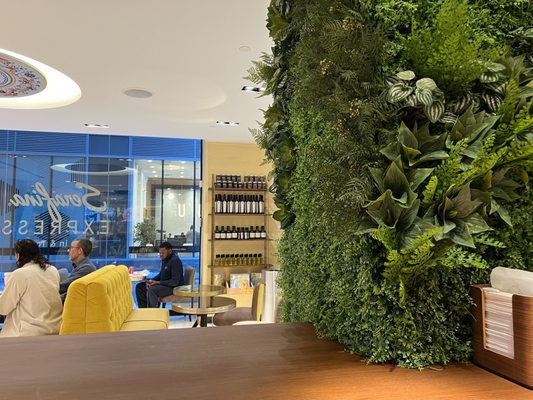 Serafina Financial District by null