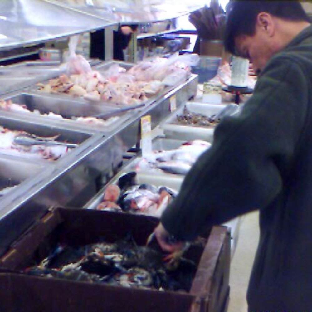 Viet Hoa Plaza - They have fish! (This fellow is choosing blue crabs.) - International Grocery Near Me - Chicago, Illinois Viet Hoa Plaza - They have fish! (This fellow is choosing blue crabs.) - International Grocery Near Me - Chicago, Illinois