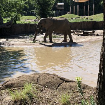 Dallas Zoo - Zoos Near Me - Dallas, Texas