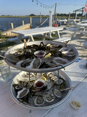 Barnegat Oyster Collective by null