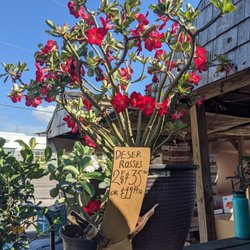 Steve's Produce