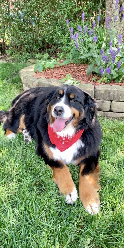 GROOMNZOOM Updated May 2024 201 Grove Rd, Prosperity