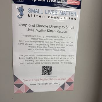 Frisky Cat Cafe - Donate! - Cafes Near Me - St. Augustine, Florida